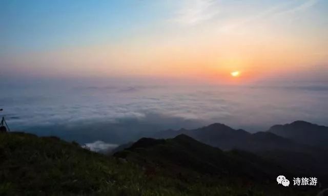 广州荔枝湾好玩的景点_广州荔枝湾涌_广州 荔枝湾