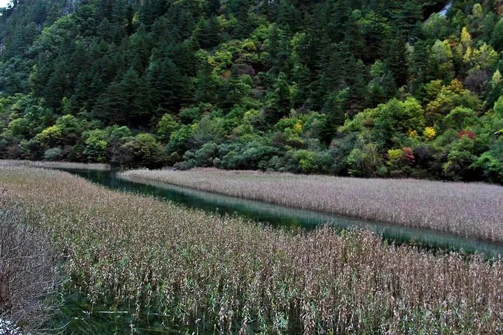 柴河小九寨旅游攻略_黄龙旅游攻略2013_九寨黄龙旅游攻略