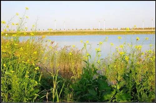 甘南草原旅游攻略_内蒙古大草原旅游攻略_祁连山草原旅游攻略