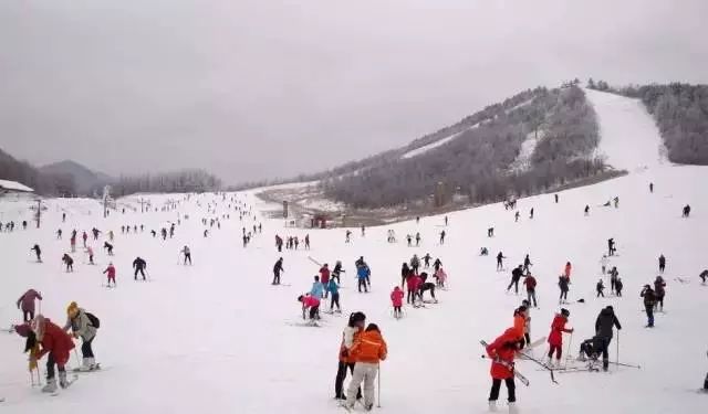 春节巴厘岛旅游攻略_春节涠洲岛旅游攻略_春节武当山旅游攻略