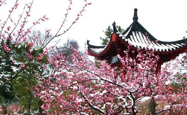 春节涠洲岛旅游攻略_春节武当山旅游攻略_春节巴厘岛旅游攻略