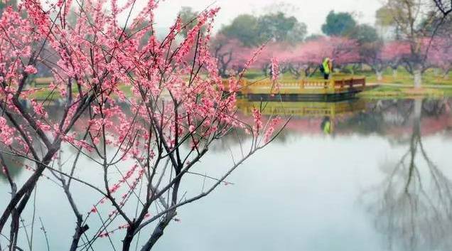 春节武当山旅游攻略_春节涠洲岛旅游攻略_春节巴厘岛旅游攻略