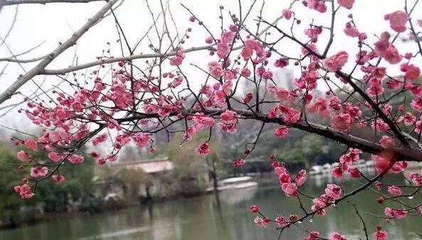 春节武当山旅游攻略_春节巴厘岛旅游攻略_春节涠洲岛旅游攻略