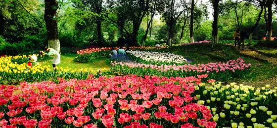 春节武当山旅游攻略_春节涠洲岛旅游攻略_春节巴厘岛旅游攻略