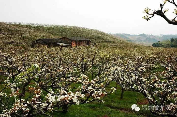 漳州云水谣距离东山旅游攻略_厦门到南靖云水谣旅游攻略_福建云水谣旅游攻略