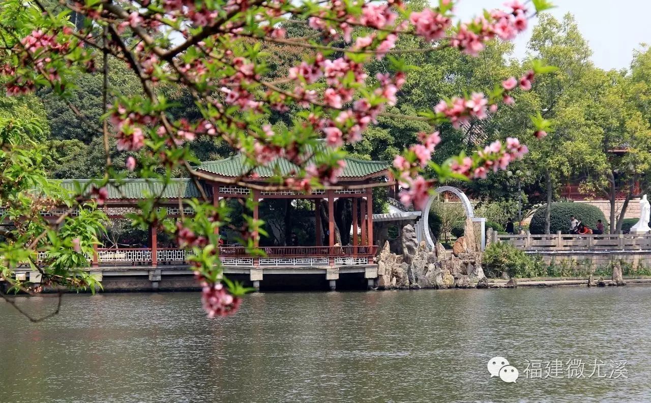 福建云水谣旅游攻略_厦门到南靖云水谣旅游攻略_漳州云水谣距离东山旅游攻略