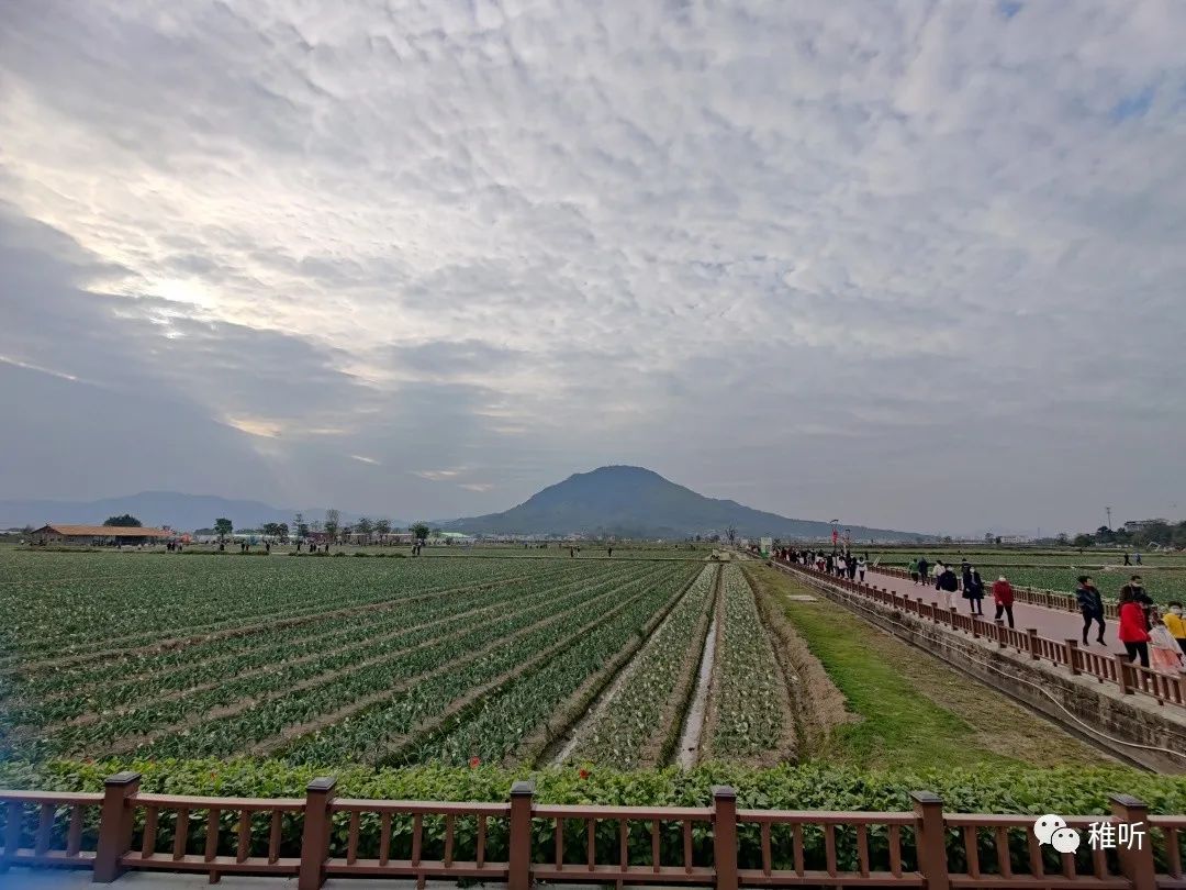 漳州云水谣距离东山旅游攻略_史上最全云水谣旅游攻略_厦门到云水谣旅游攻略