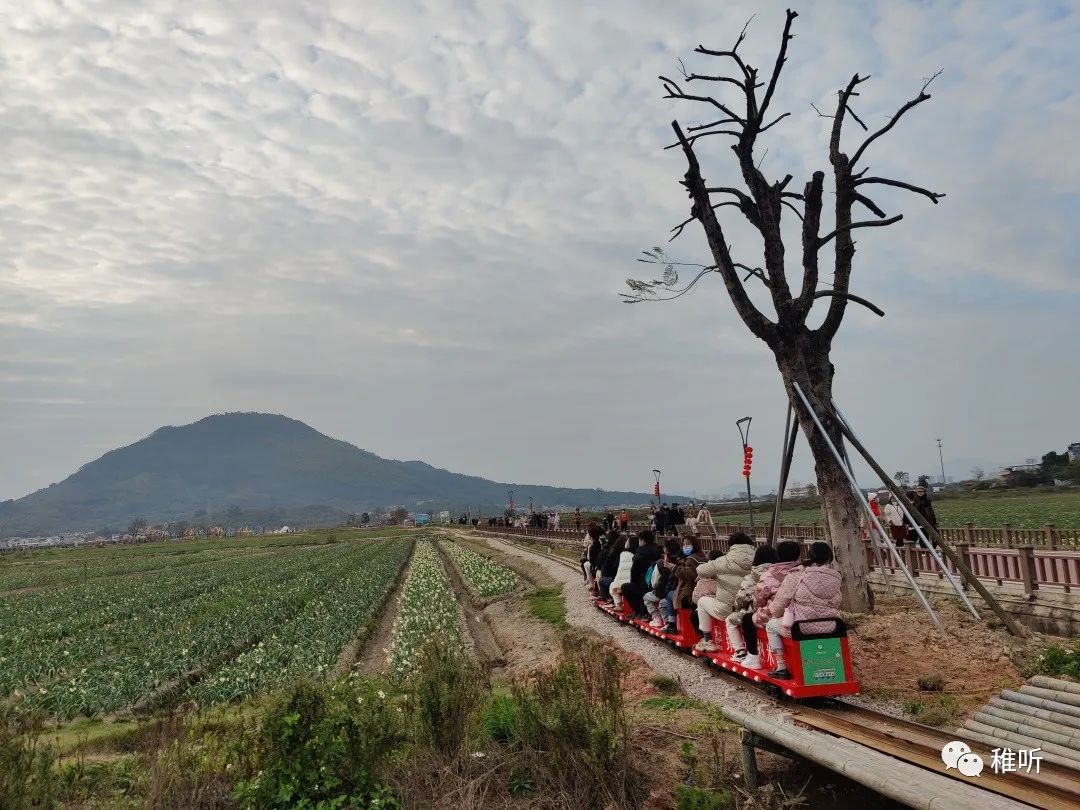 史上最全云水谣旅游攻略_漳州云水谣距离东山旅游攻略_厦门到云水谣旅游攻略