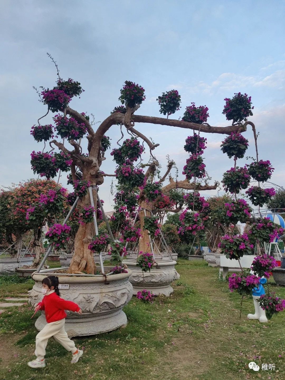 史上最全云水谣旅游攻略_漳州云水谣距离东山旅游攻略_厦门到云水谣旅游攻略