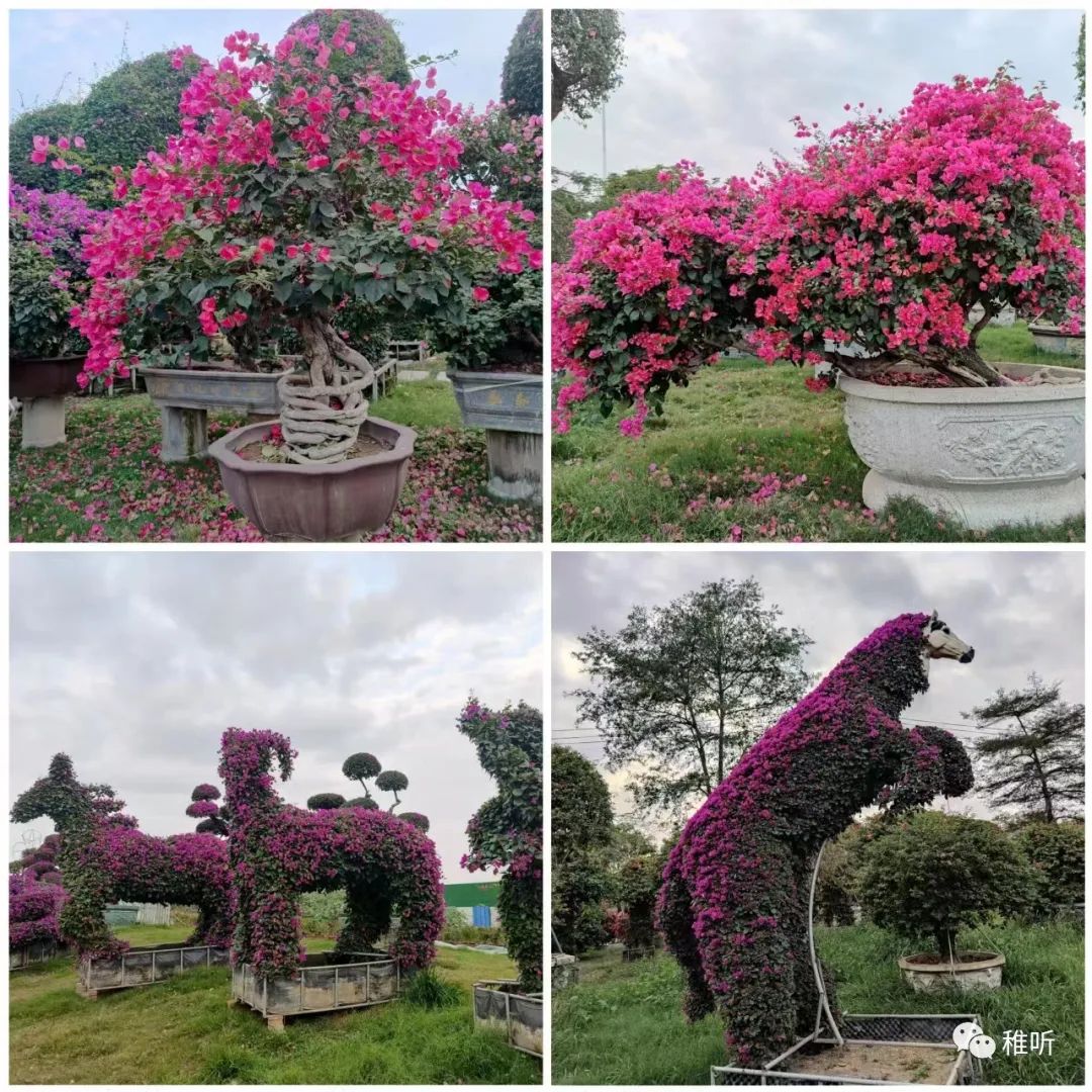 厦门到云水谣旅游攻略_漳州云水谣距离东山旅游攻略_史上最全云水谣旅游攻略