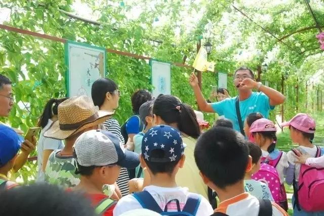 博罗县罗浮山旅游攻略_广东博罗罗浮山景区_博罗罗浮山风景区门票价格