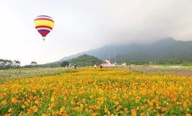 博罗罗浮山风景区门票价格_博罗县罗浮山旅游攻略_广东博罗罗浮山景区