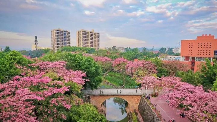 增城好玩的免费景点_增城区免费景点_增城免费的旅游区