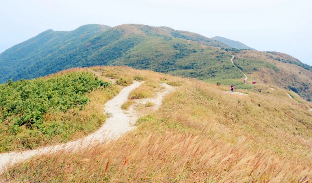 博罗县罗浮山旅游攻略_博罗县罗浮山旅游攻略_博罗县罗浮山旅游攻略