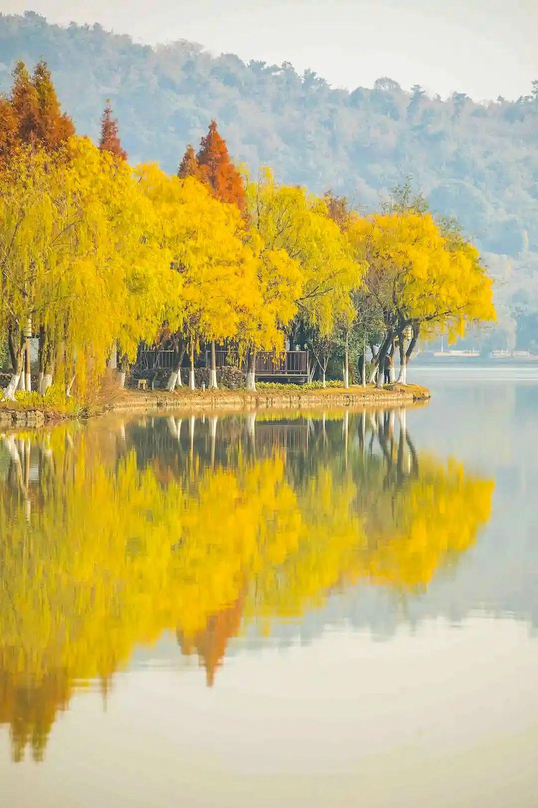 嘉兴西塘景点介绍_嘉兴西塘一日游攻略_嘉兴西塘旅游攻略