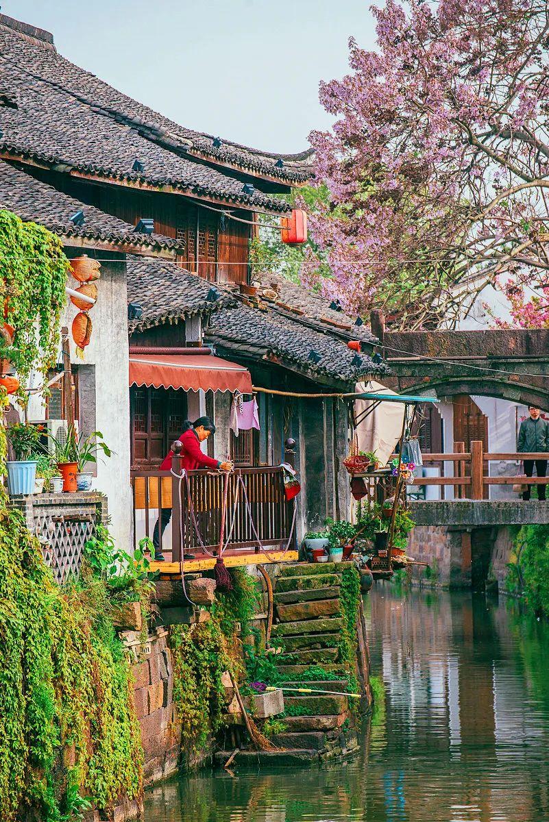 嘉兴西塘一日游攻略_嘉兴西塘景点介绍_嘉兴西塘旅游攻略