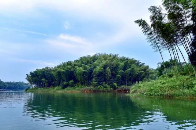 成都到蜀南竹海旅游攻略_宜兴竹海旅游攻略_茶山竹海旅游攻略