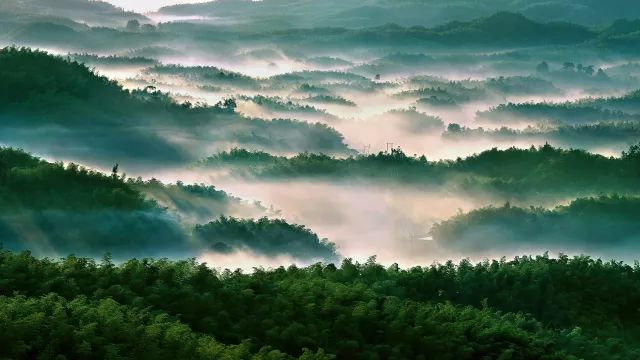 宜兴竹海旅游攻略_茶山竹海旅游攻略_成都到蜀南竹海旅游攻略