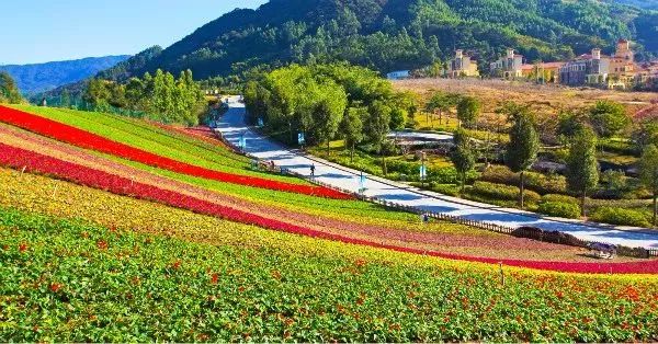 漳州好玩的景点_漳州金汤湾好玩不好玩_漳州景点大全景点排名