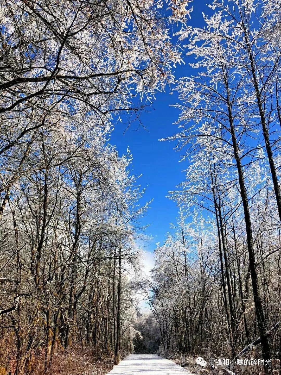 贡嘎山旅游攻略徒步_九皇山徒步一日游攻略_天露山徒步攻略