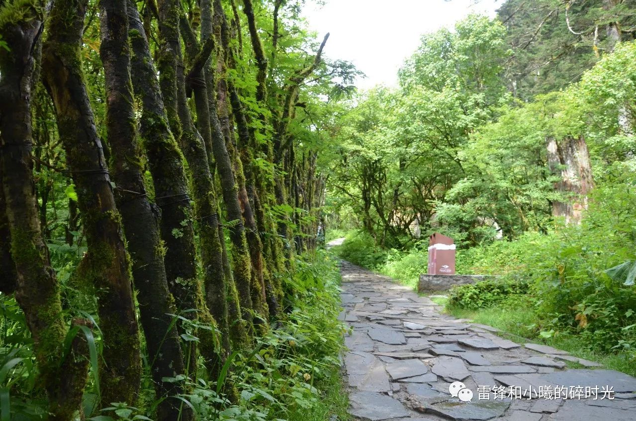 九皇山徒步一日游攻略_贡嘎山旅游攻略徒步_天露山徒步攻略