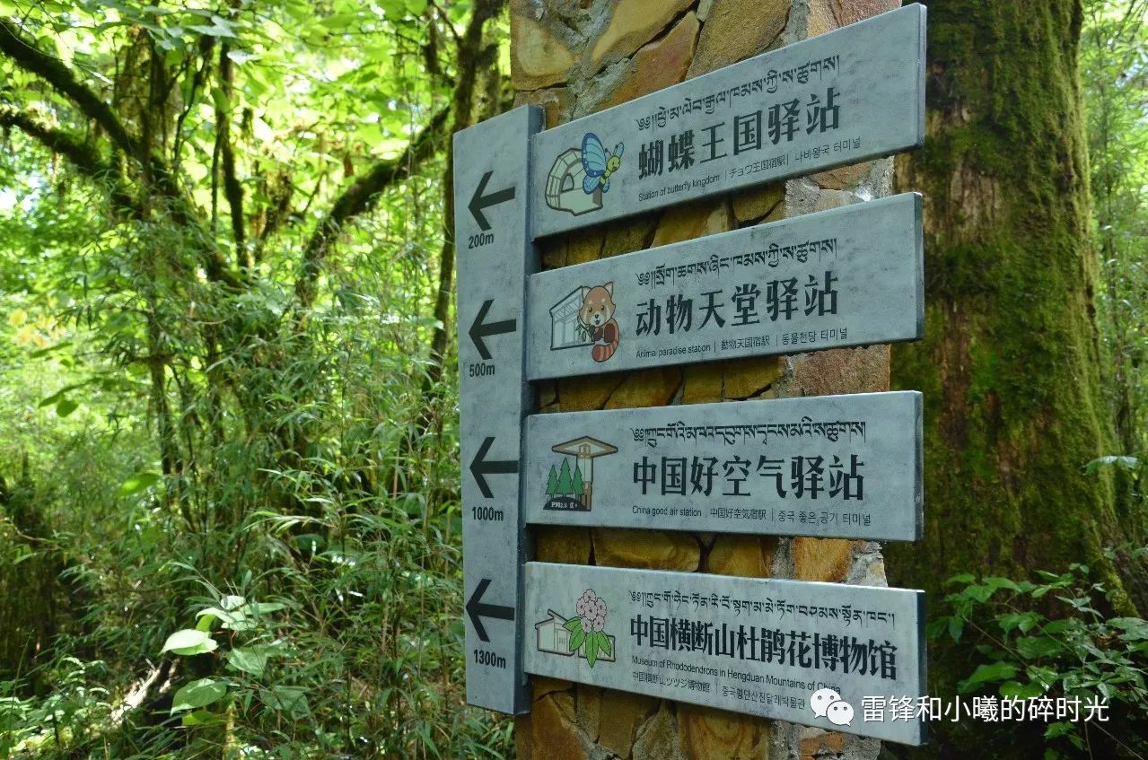 九皇山徒步一日游攻略_贡嘎山旅游攻略徒步_天露山徒步攻略