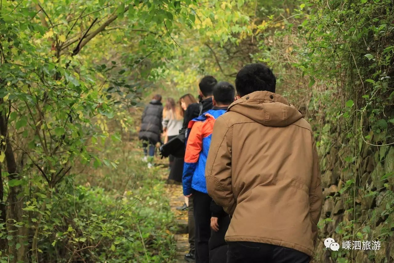 青洲岛旅游攻略_乐岛旅游攻略_荷包岛旅游攻略