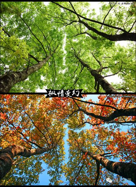 庐山最佳旅游时间 季节_6月旅游最佳地方国内_国内旅游最佳季节