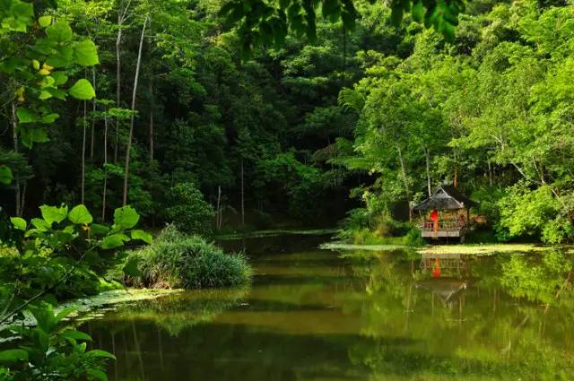 6月旅游最佳地方国内_庐山最佳旅游时间 季节_国内旅游最佳季节