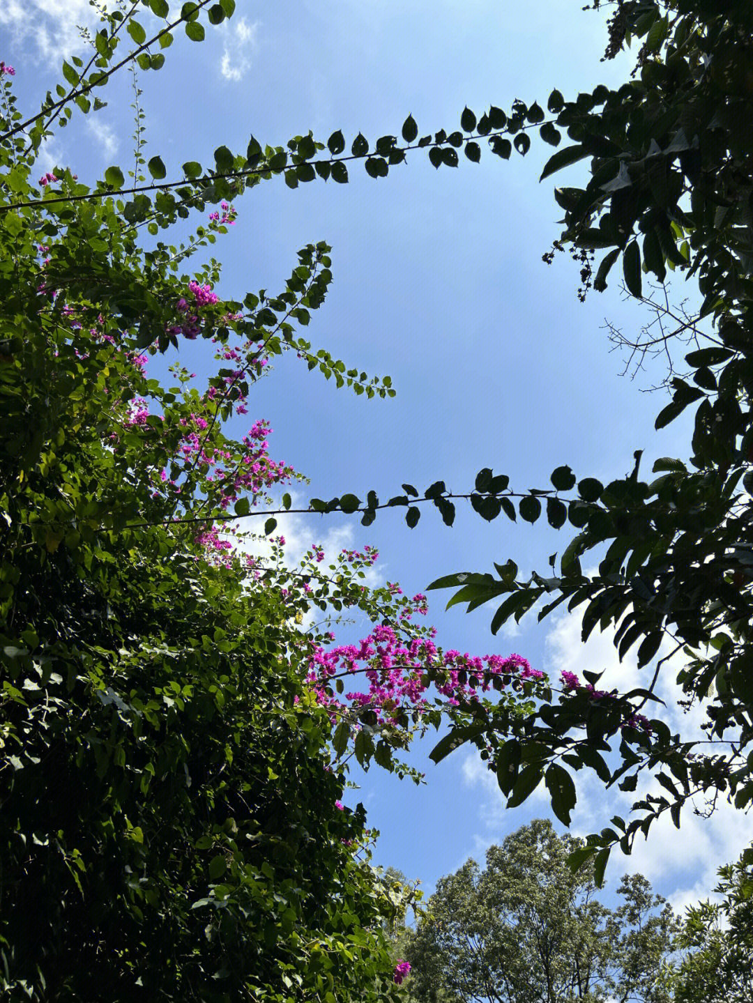 国内旅游最佳季节_庐山最佳旅游时间 季节_6月旅游最佳地方国内