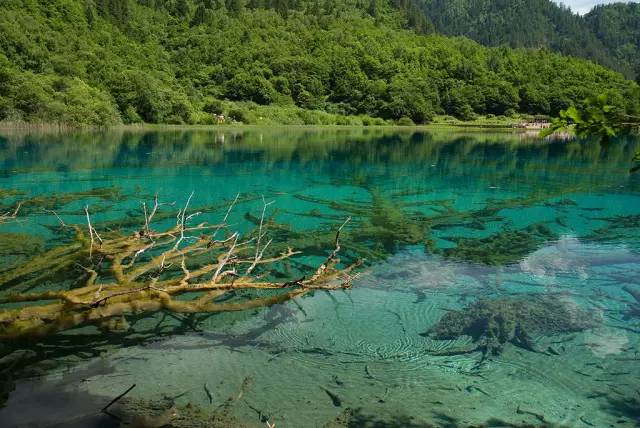 6月旅游最佳地方国内_国内旅游最佳季节_庐山最佳旅游时间 季节