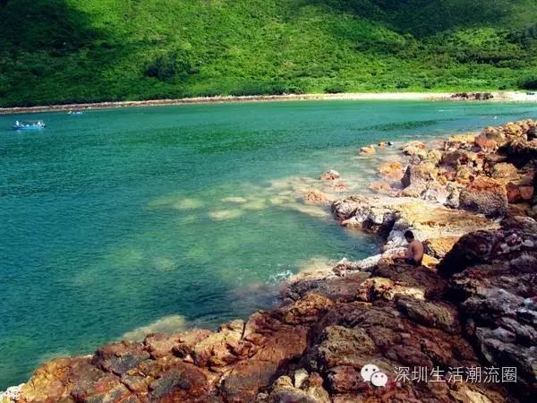 青洲岛旅游攻略_乐岛旅游攻略_南麂岛旅游攻略