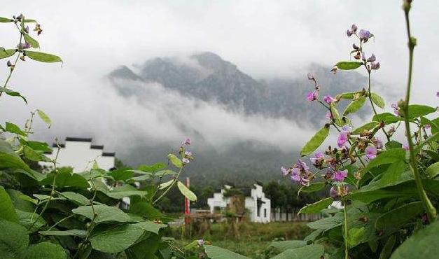 九华山自驾去后山旅游攻略_九华山自驾去后山旅游攻略_青城后山旅游攻略 2016