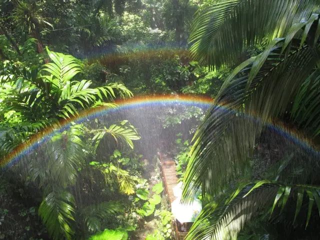 深圳好玩的免费景点_好玩景点深圳免费的地方_深圳免费好玩的景点