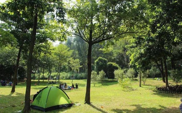 深圳免费好玩的景点_好玩景点深圳免费的地方_深圳好玩的免费景点