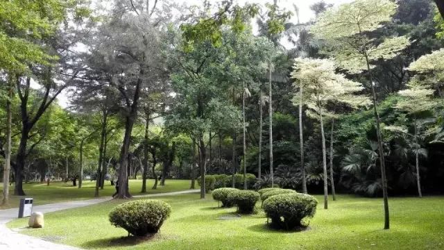 深圳好玩的免费景点_深圳免费好玩的景点_好玩景点深圳免费的地方