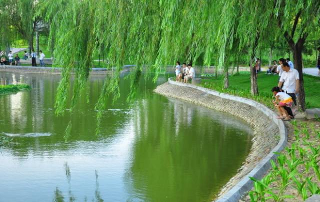 深圳免费好玩的景点_好玩景点深圳免费的地方_深圳好玩的免费景点