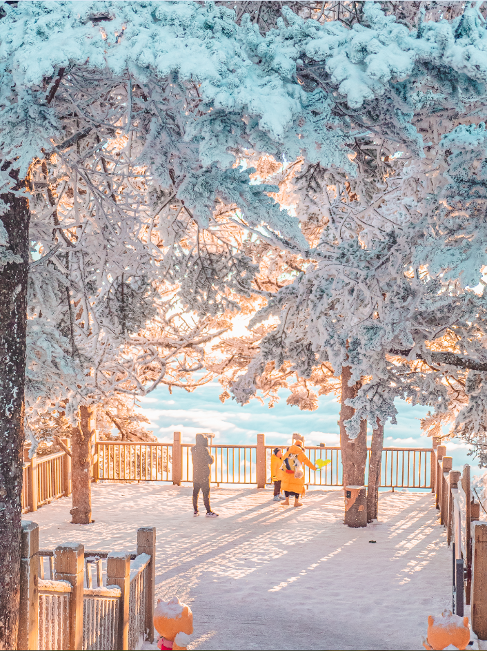 不如来成都之巅·大邑雪山赏日出云海听音乐祈福许新年心愿