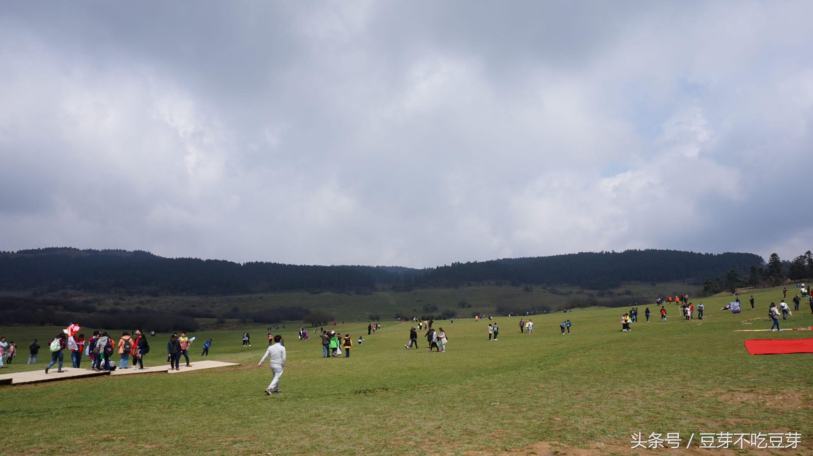 仙女山旅游攻略4月_仙女山旅行团_游玩仙女山