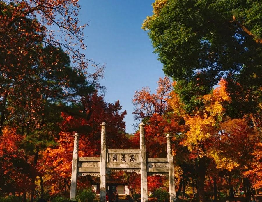 苏州有什么好玩的景点_苏州好玩旅游景点_苏州好玩儿的景点