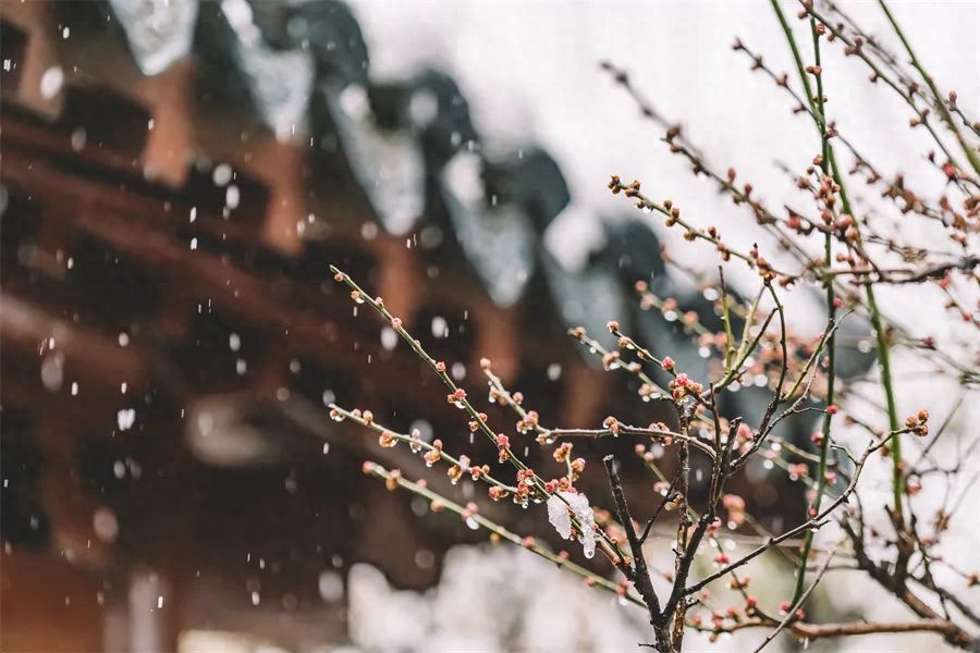 苏州有什么好玩的景点_苏州好玩旅游景点_苏州好玩儿的景点