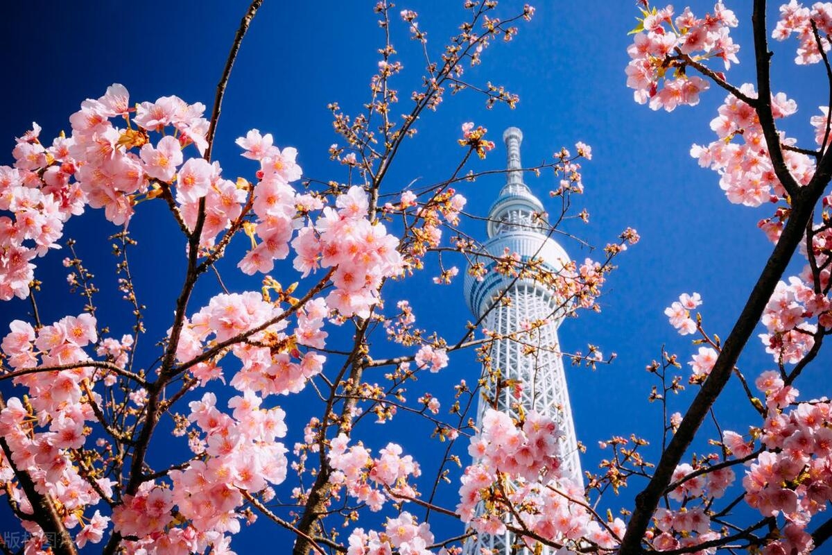 出国景点旅游推荐一下_出国旅游景点推荐_出国旅游景点排名前十