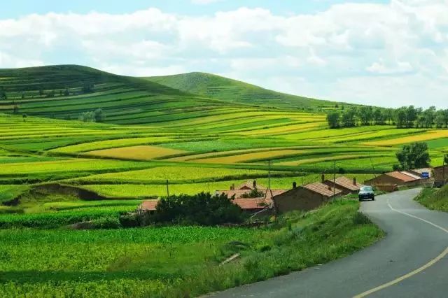 张北草原旅游攻略自驾_张北草原自驾路线_自驾张北草原游玩攻略