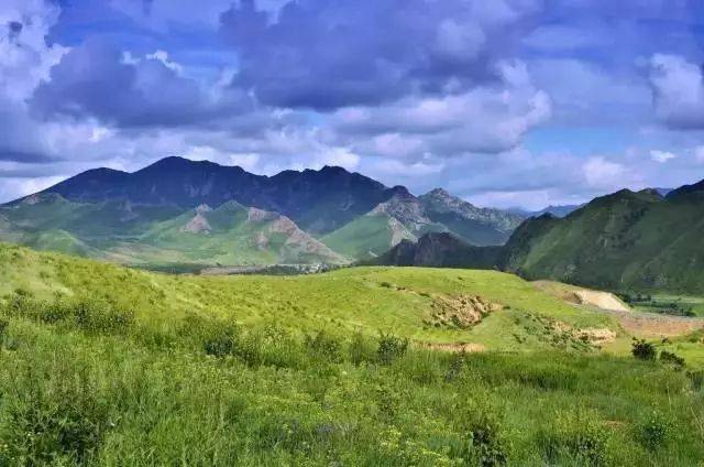 张北草原旅游攻略自驾_张北草原自驾路线_自驾张北草原游玩攻略