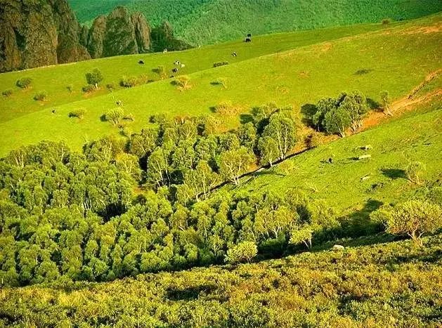 张北草原自驾路线_自驾张北草原游玩攻略_张北草原旅游攻略自驾