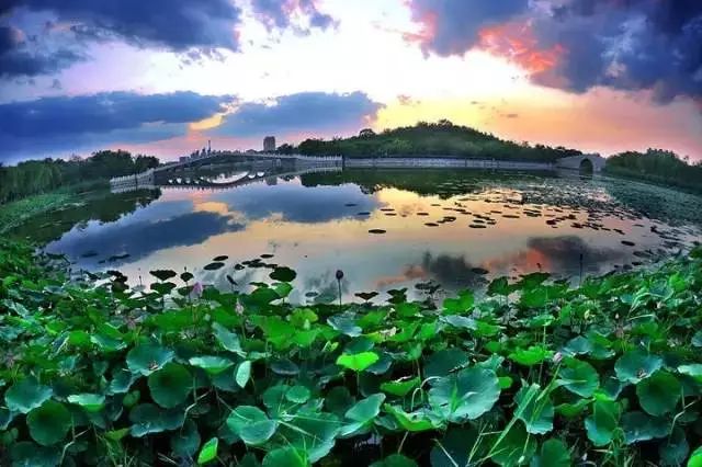 自驾张北草原游玩攻略_张北草原旅游攻略自驾_张北草原自驾路线