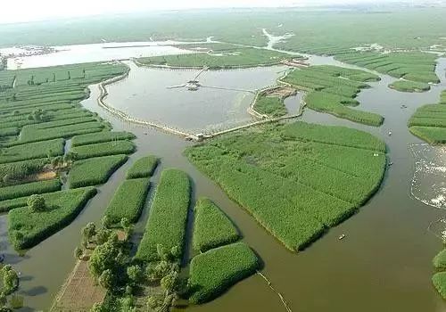 张北草原自驾路线_自驾张北草原游玩攻略_张北草原旅游攻略自驾