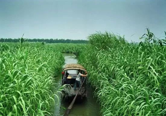 张北草原自驾路线_自驾张北草原游玩攻略_张北草原旅游攻略自驾