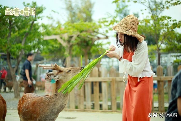 游玩攻略花莲怎么玩_花莲旅游攻略两天一夜_花莲游玩攻略