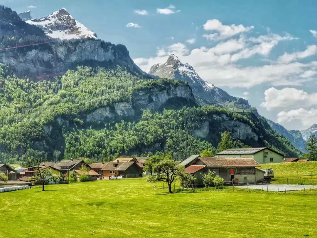 出国邮轮老人旅游要求_老人出国旅游 邮轮_老年人出境游轮旅行